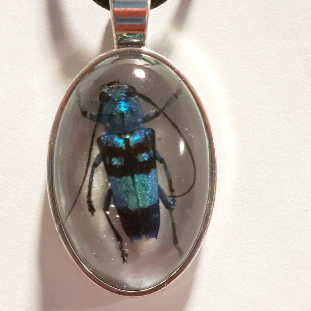 Longhorn beetle, beetle necklace, bug jewelry
